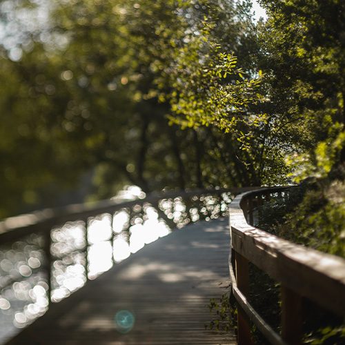 Guidein Travels – Homepage 26 testemunhos12